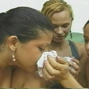 mfx-225-2 smell gang