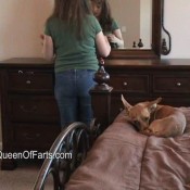 doggy highspeed classic fart files queenoffarts