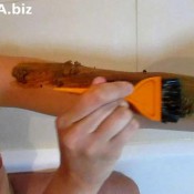 elc 41 russian scat collection 3418562d elecebra