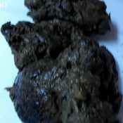 elc 15 russian scat collection 3609492d elecebra