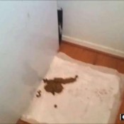 washing machine shit