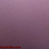 nikky thorne and amirah adara - me worshiping princess amiras sexy ass