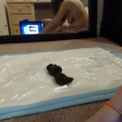 big hard shit lindzypoopgirl