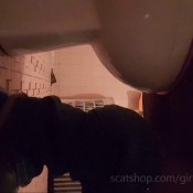 renee`s new chocolate nuggets!! hd funkyladies