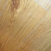 close up morning shit hd scarlett marie