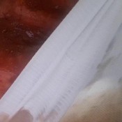 messy tights temptation hd the fart babes