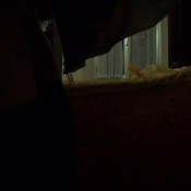 carmen reina mgf farts 3