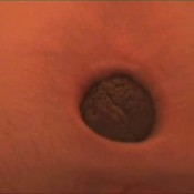 pantyandholeshitnasty the fart babes