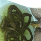 loose sick stools hd bigbootypanties