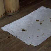 the girl in the shower doing yourself an enema. hd brown7