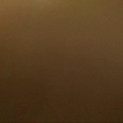 pre performance poop! missvivian