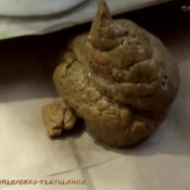 1 week of poops hd sexy flatulence