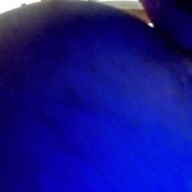 mistress anna too big turd for your mouth hd mistressanna