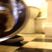 mistress shitting in her silver bowl scatmistress