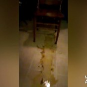 kitchen floor and bathroom floor shits voodoovixen