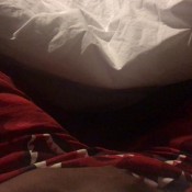 gassy digest 1st edition hd mary missionary