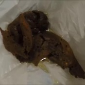 Smell These Funky Egg Rolls And I Will Bring U Bewp In A Bag! Droppingapples C World Entertainment Sexy Sonia