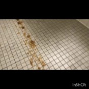 gassy panda`s shower blast voodoovixen