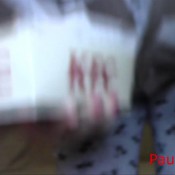 dine and dump fast food pauline maxx