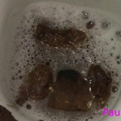 shit challenge day 6 hd pauline maxx