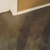 shit on your dishes hennathegoddess