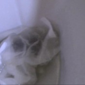 short visit in toilet hd princessmonica