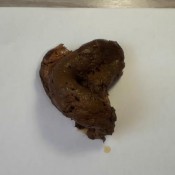 two mornings shit hd elenatoilet