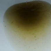 using 4 fingers to help me poop dirtyfairy