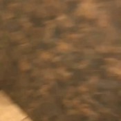 footage the mall mistressmystique