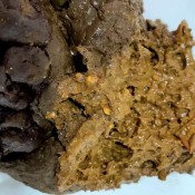 huge and nasty shit hd the fart babes