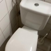 canary islands big shits only (10 videos) veganlinda