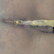 the post breakfast hd kinkycat