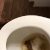 sydnee capri`s morning detox pt 1! hd funkyladies