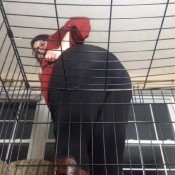 big fat ass tortures caged bootlicking fart slave jewliesparxx