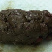 pooping 3 times pov episode 3 dirtymaryan