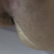 an. brown snake hotdirtyivone