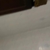 i want you slaves to eat my shit hd goddeszkat