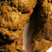 2 urgent shits hd loverachelle2