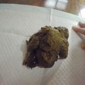 creamy stinky dumps loverachelle2