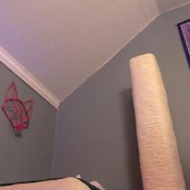 the stinky mess foxy farrah