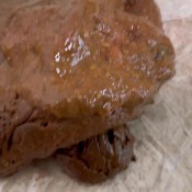 biggest shits of may compilation! hd sophia_sprinkle