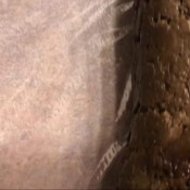 3 hard turd compilation hd tina amazon glamazon