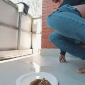 hard turd on balcony amysinclair