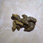 sexy ass huge shit load janet diabolic sigal