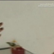 mfx-631-2 scat partners in love 2 newscatinbrazil