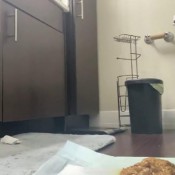 soft serve ebonybooty49