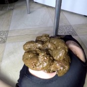 big shit for stupid janet diabolic sigal