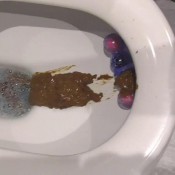 close up poo hd princess cheryl