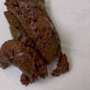 august: four loads on toilet seat! hd sophia_sprinkle