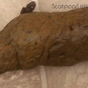 urgent shit plops on the floor hd littledirtyprincess